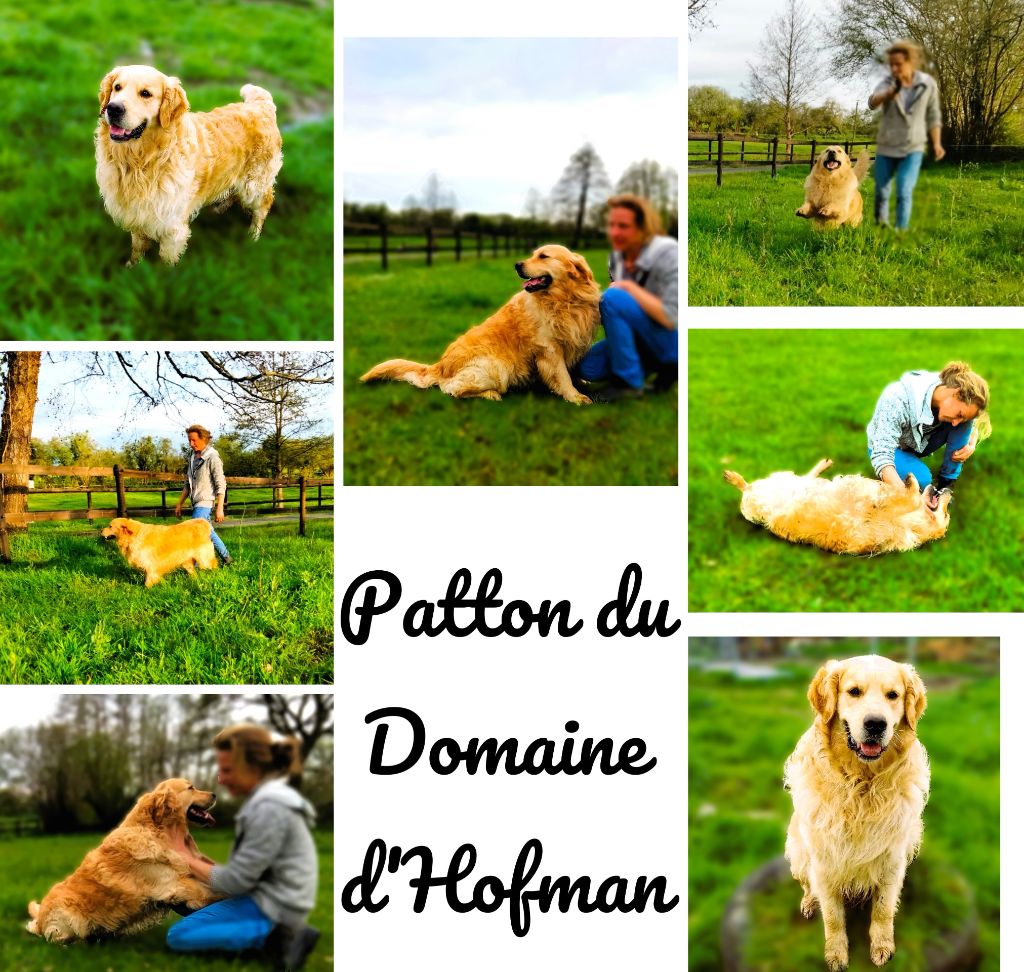 Patton Du Domaine D'Hofman